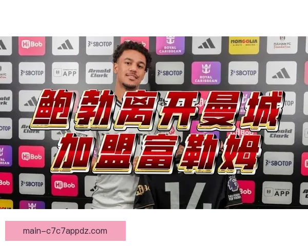 富勒姆领跑鲍勃争夺多特筹追逐 富勒姆领跑鲍勃争夺多特筹追逐