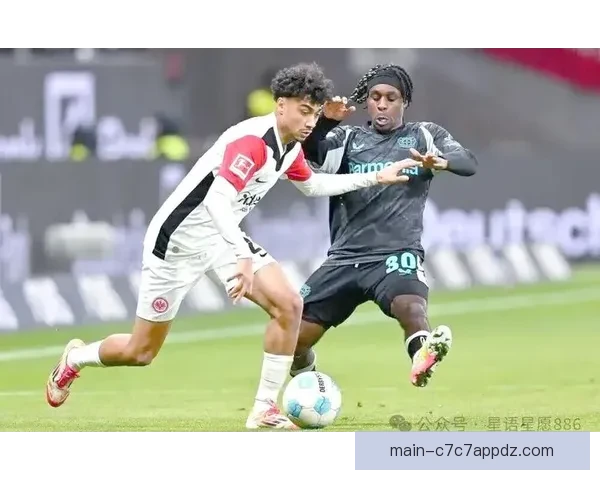 专家集体炮轰法兰克福新帅表现