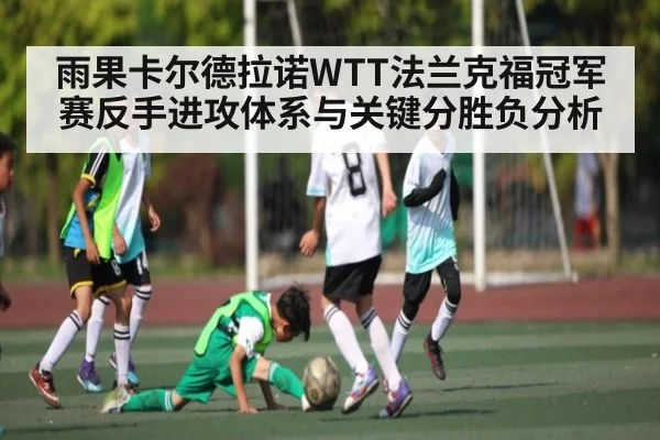 雨果卡尔德拉诺WTT法兰克福冠军赛反手进攻体系与关键分胜负分析
